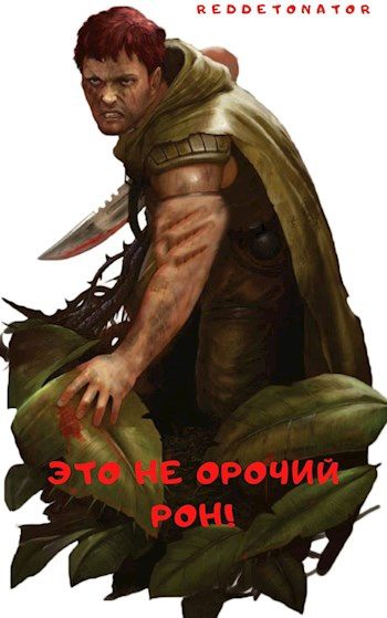 Обложка книги «Это не орочий Рон!»