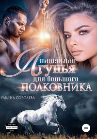 Обложка книги «Маленькая лгунья для большого полковника»