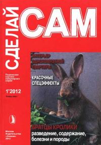 Обложка книги «Интерьер однокомнатной квартиры. Красочные спецэффекты... ("Сделай сам" №1∙2012)»