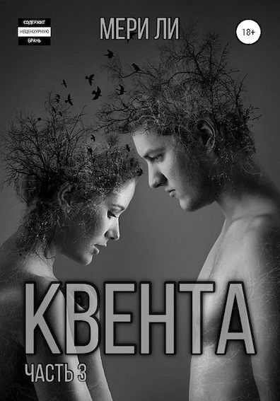 Обложка книги «Квента. Финал»