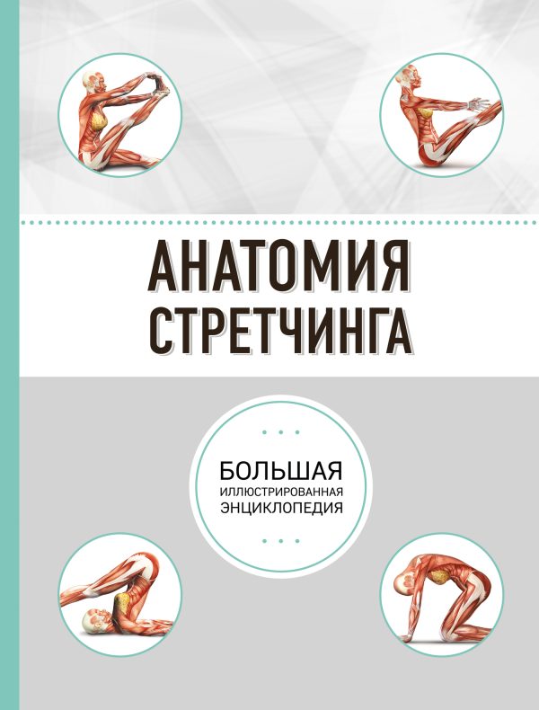 Обложка книги «Анатомия стретчинга. Большая иллюстрированная энциклопедия»