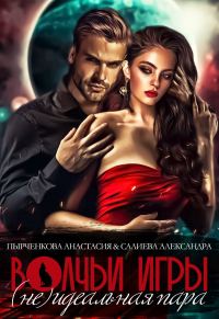 Обложка книги «Неидеальная пара»
