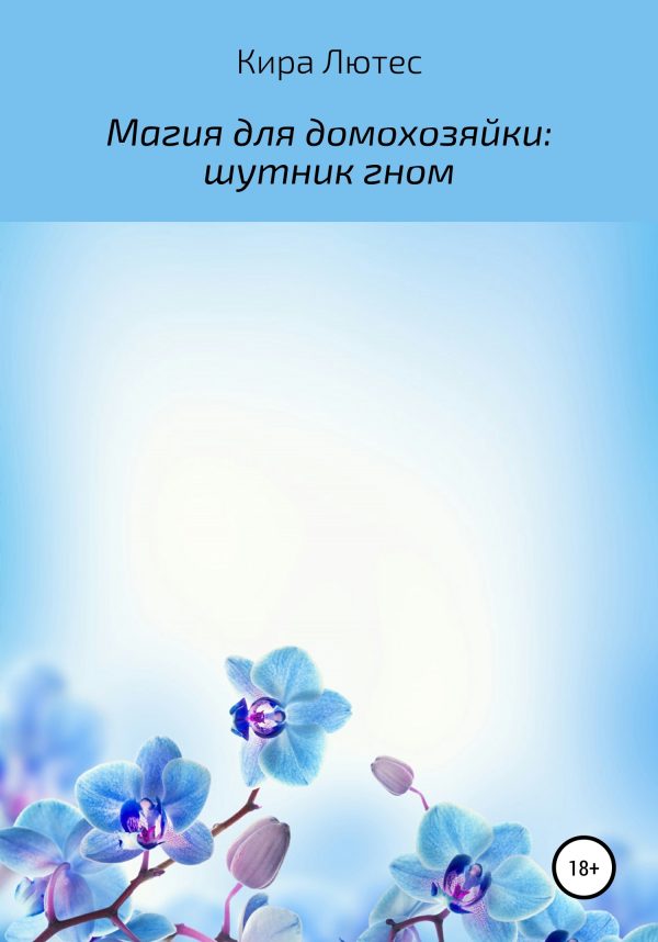 Обложка книги «Магия для домохозяйки: шутник гном»