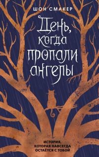 Обложка книги «День, когда пропали ангелы»
