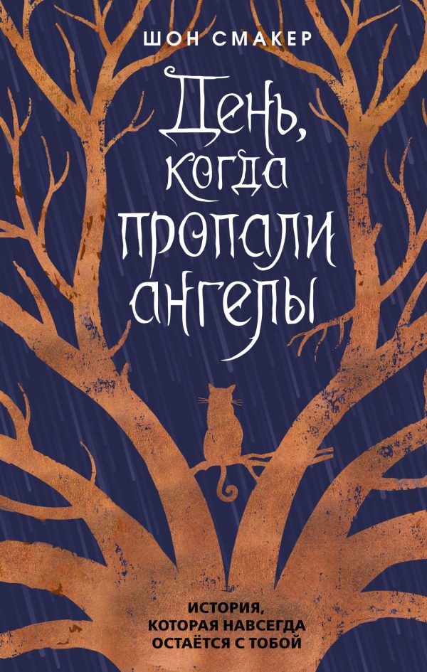 Обложка книги «День, когда пропали ангелы»