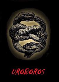 Обложка книги «Тень рока»