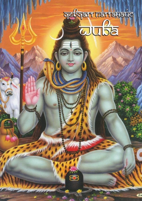 Обложка книги «Шива»