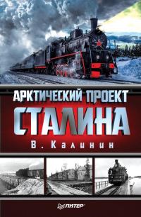 Обложка книги «Арктический проект Сталина»