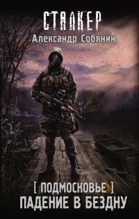 Обложка книги «Падение в бездну»