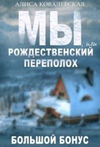 Обложка книги «Мы, или Рождественский переполох»