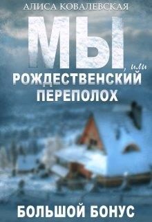 Обложка книги «Мы, или Рождественский переполох»