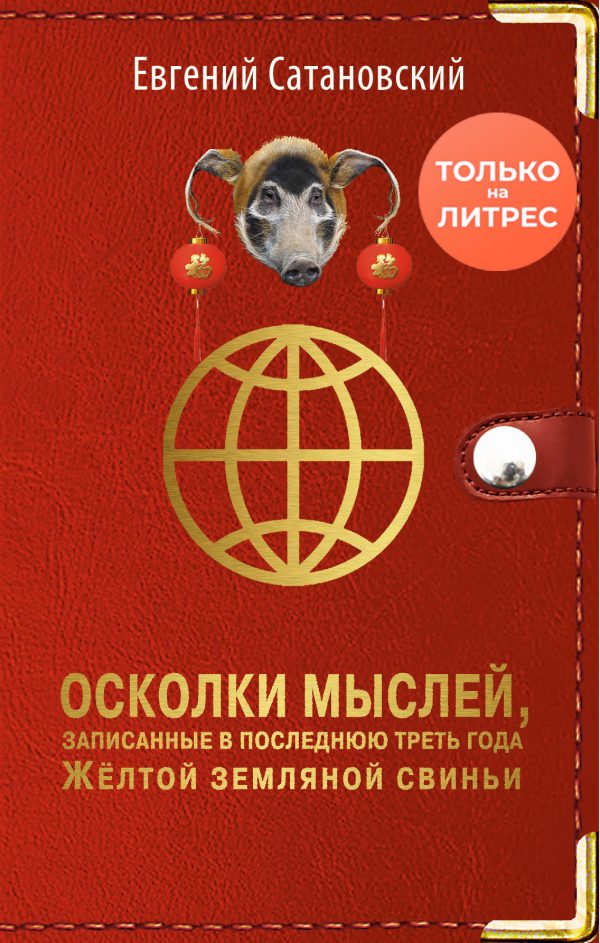 Обложка книги «Осколки мыслей, записанные в последнюю треть года Жёлтой Земляной Свиньи»