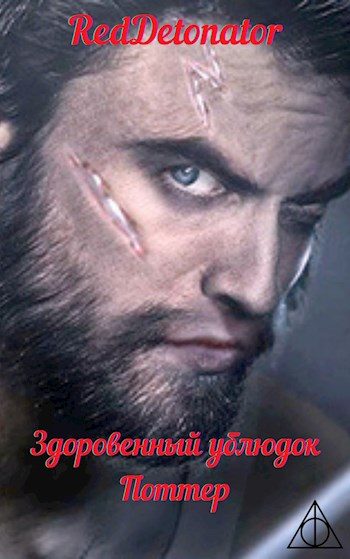 Обложка книги «Здоровенный ублюдок Поттер 2»