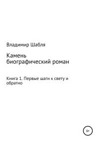 Обложка книги «Камень. Биографический роман. Книга 1. Первые шаги к свету и обратно»