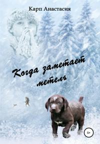 Обложка книги «Когда заметает метель»