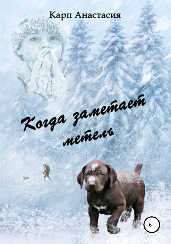 Обложка книги «Когда заметает метель»