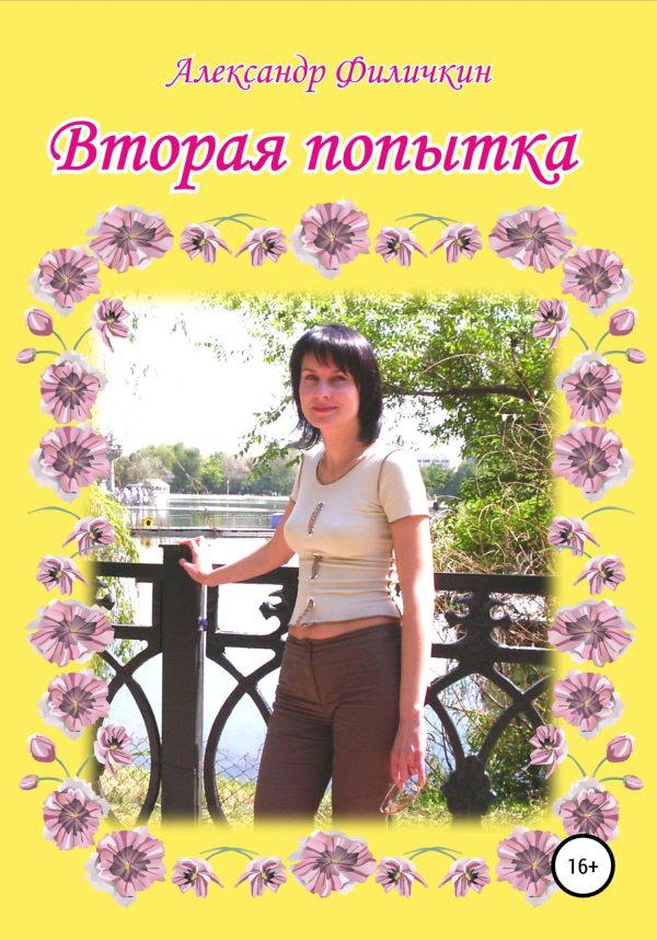 Обложка книги «Вторая попытка»