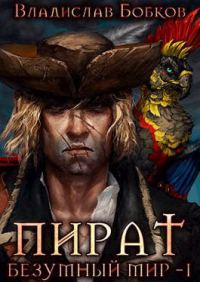 Обложка книги «Пират. Безумный мир 1»