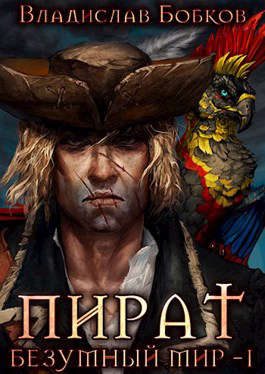 Обложка книги «Пират. Безумный мир 1»
