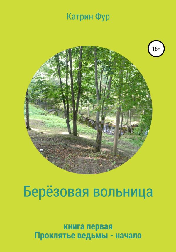 Обложка книги «Берёзовая вольница»