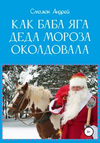 Обложка книги «Как Баба Яга Деда Мороза околдовала»