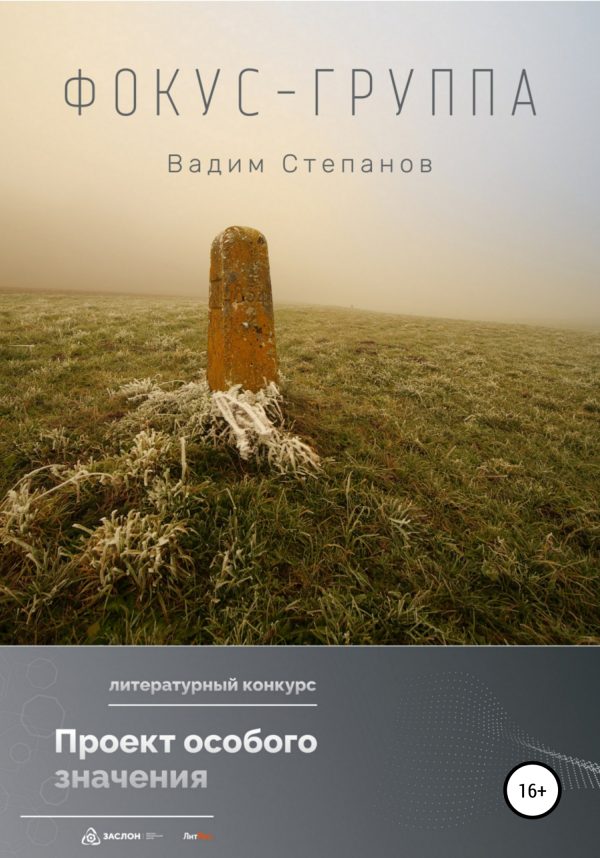 Обложка книги «Фокус-группа»