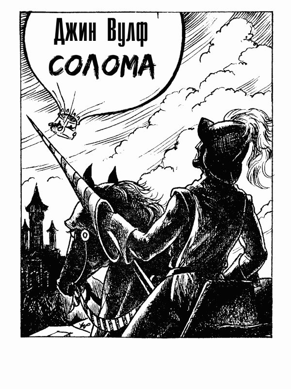 Обложка книги «Солома»