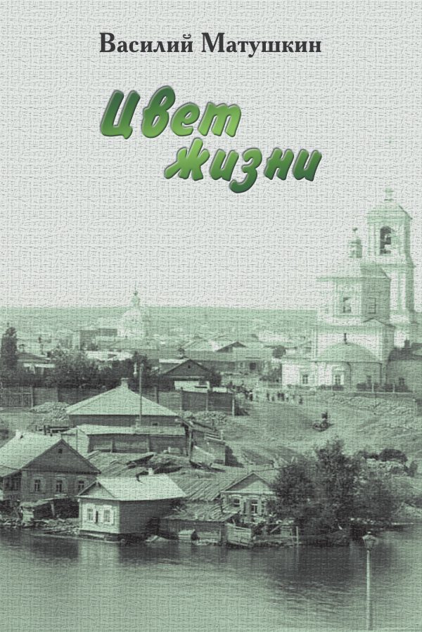 Обложка книги «Цвет жизни»