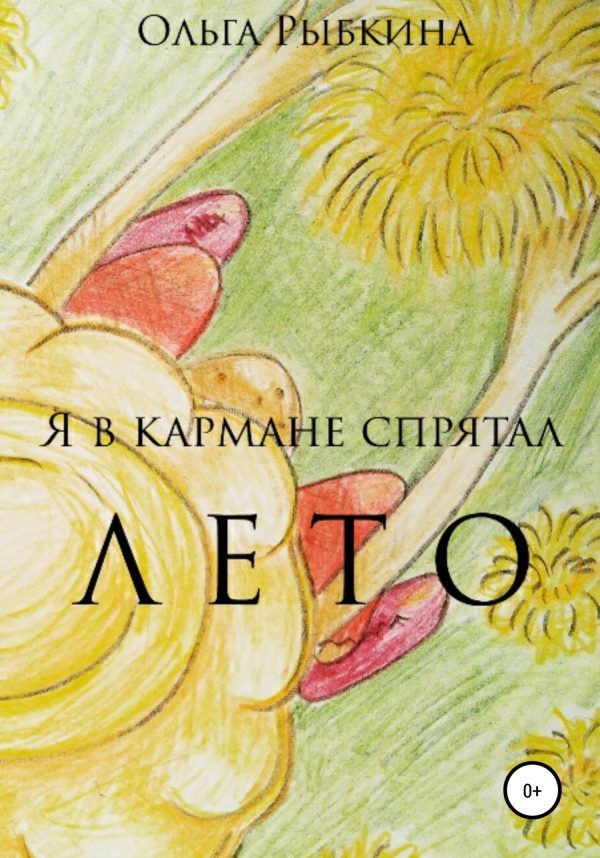 Обложка книги «Я в кармане спрятал лето»