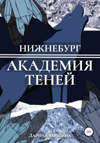 Обложка книги «Нижнебург. Академия Теней»