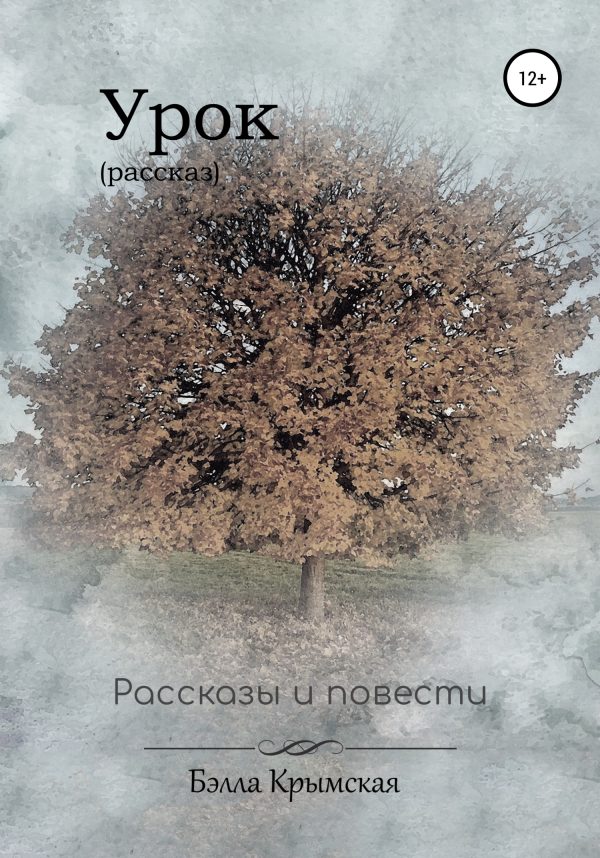 Обложка книги «Урок»