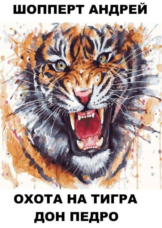 Обложка книги «Дон Педро»