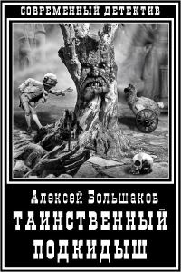 Обложка книги «Таинственный подкидыш»