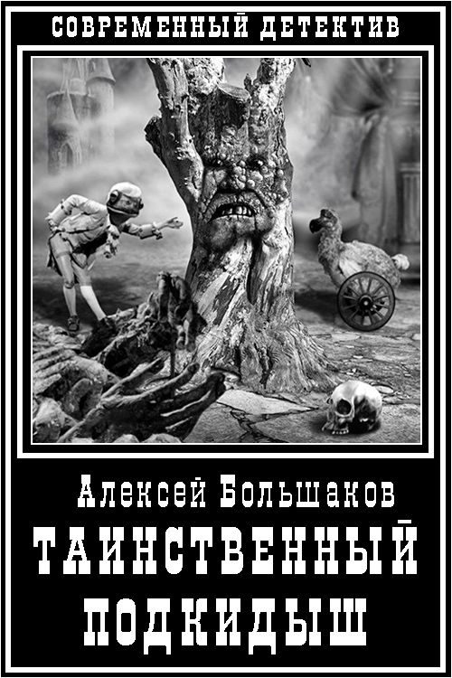 Обложка книги «Таинственный подкидыш»