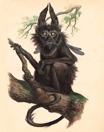 Обложка книги «Коленька»