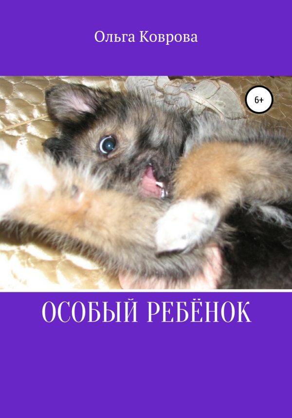 Обложка книги «Особый ребенок»