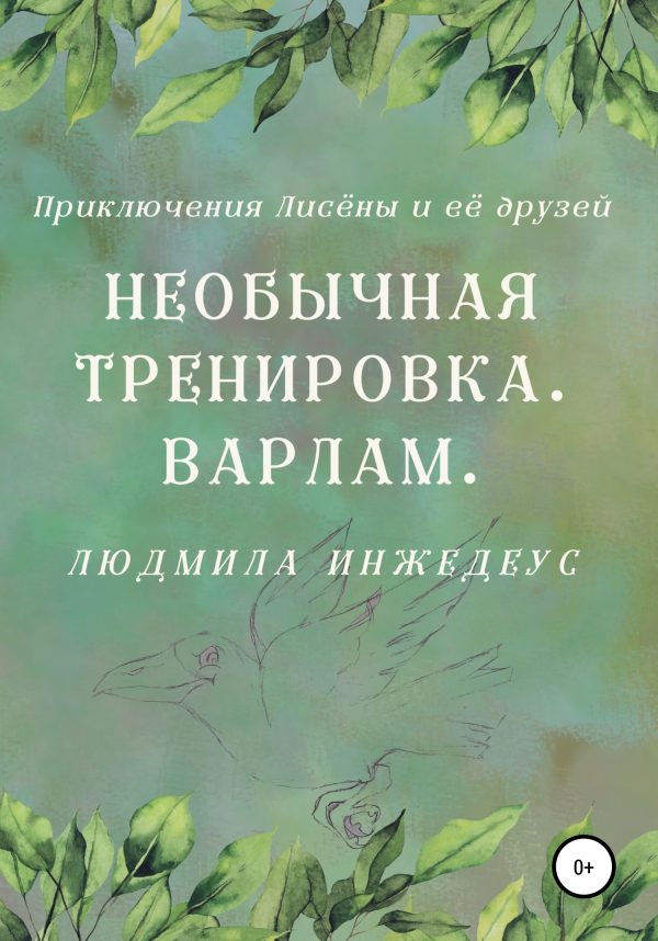 Обложка книги «Необычная тренировка. Варлам»