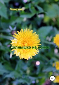 Обложка книги «Солнышко на ножке»