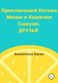 Обложка книги «Приключения Котика Миши и Кошечки Сашуни. Друзья [СИ]»