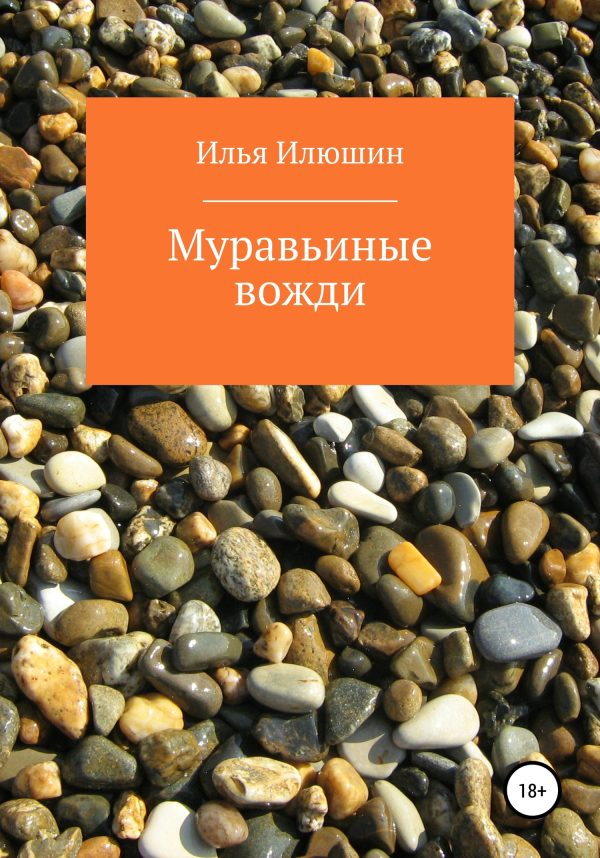 Обложка книги «Муравьиные вожди»