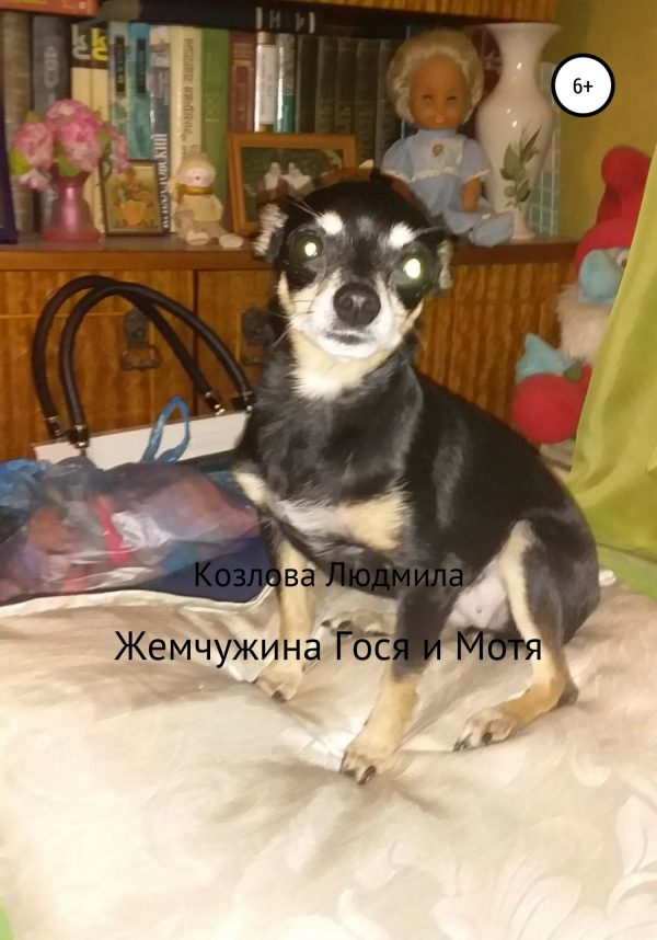 Обложка книги «Жемчужина Гося и Мотя»
