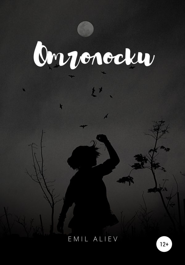 Обложка книги «Отголоски»