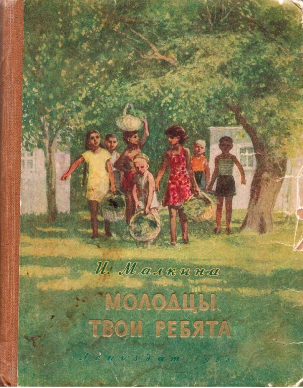 Обложка книги «Молодцы твои ребята»