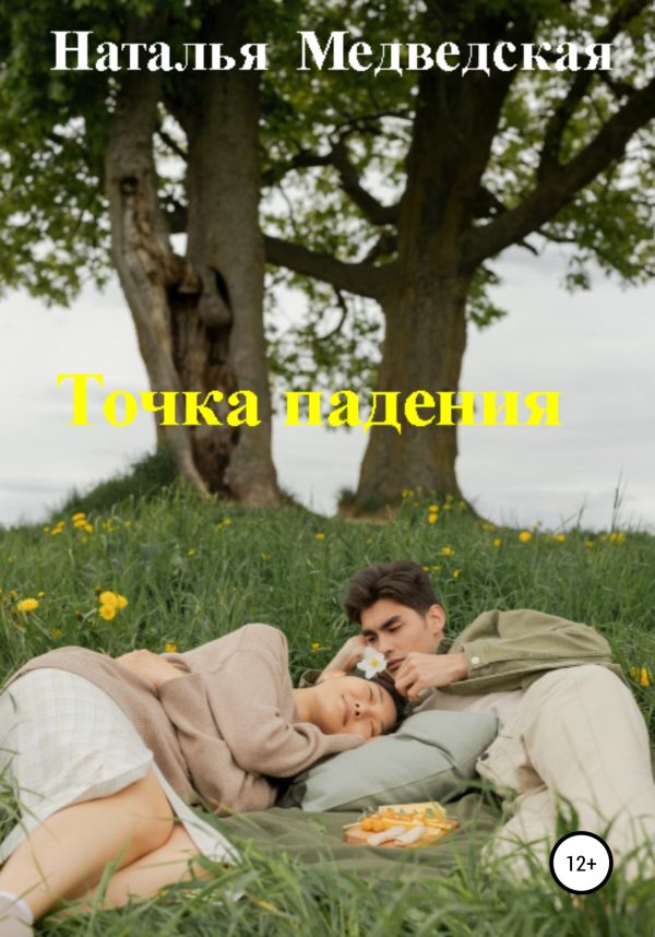Обложка книги «Точка падения»