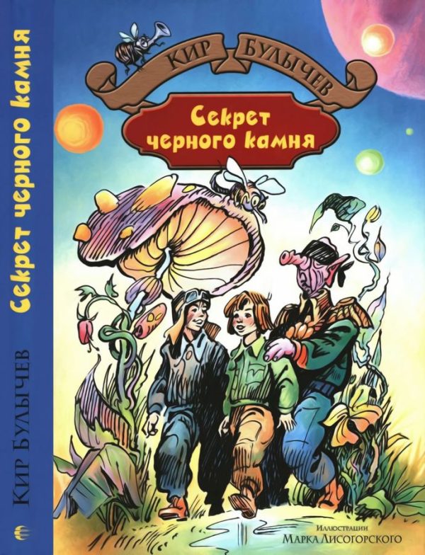 Обложка книги «Секрет черного камня»