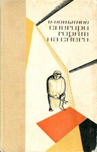 Обложка книги «Снегири горят на снегу»
