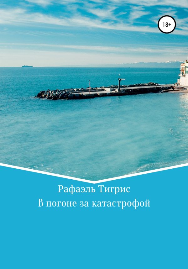 Обложка книги «В погоне за катастрофой»