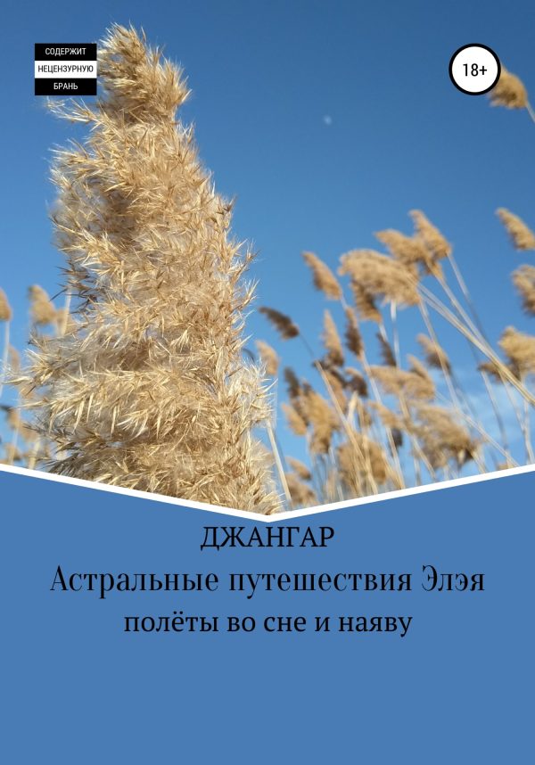 Обложка книги «Астральные путешествия Элэя»
