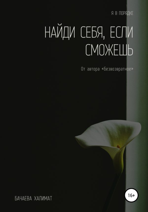 Обложка книги «Найди себя, если сможешь»