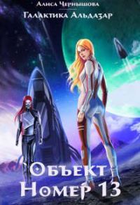 Обложка книги «Объект номер 13»